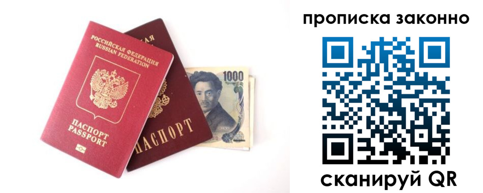 прописка поиск в Дмитрове